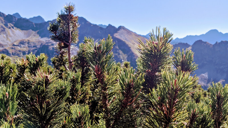 Wysokie Tatry