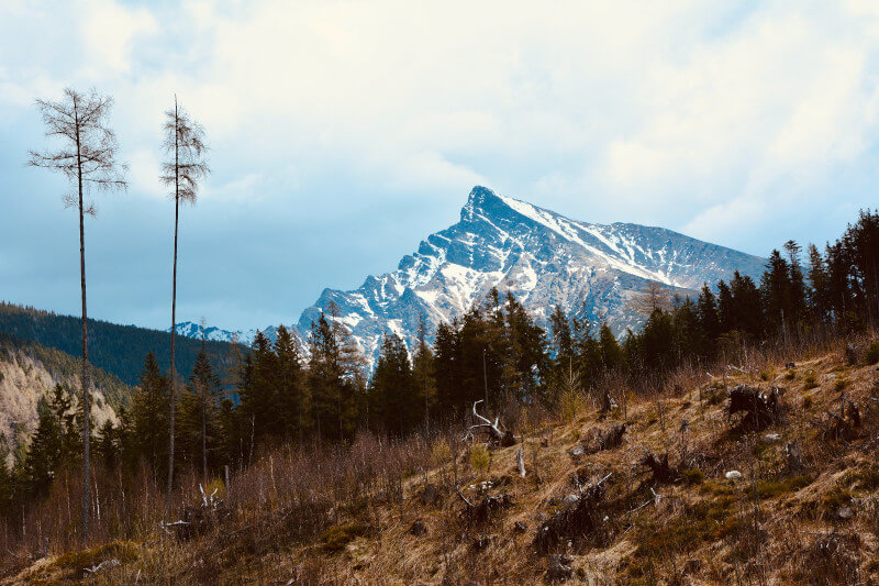 Wysokie Tatry
