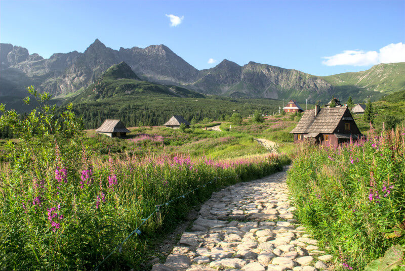 Wysokie Tatry