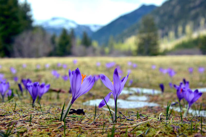 Wysokie Tatry